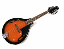 Mandolin: Alat Musik Kecil dengan Suara Tinggi Memikat